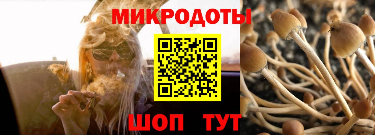 Галлюциногенные грибы GOLDEN TEACHER Джанкой